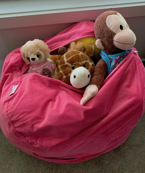 bean bag teddy storage